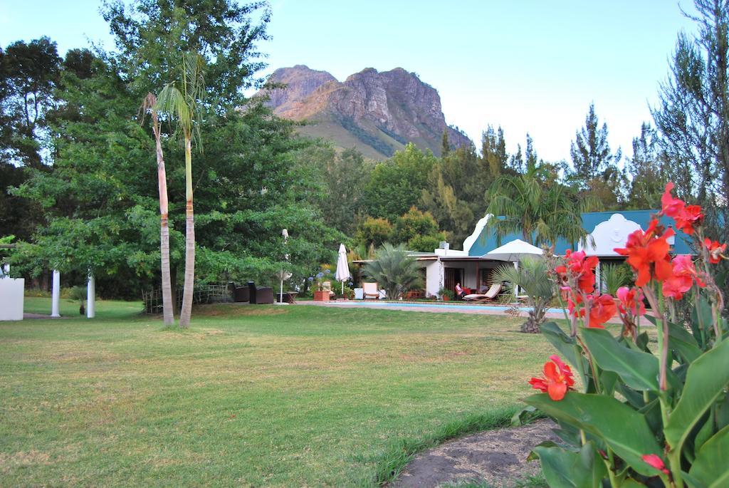 Orange Ville Pensión Stellenbosch Exterior foto